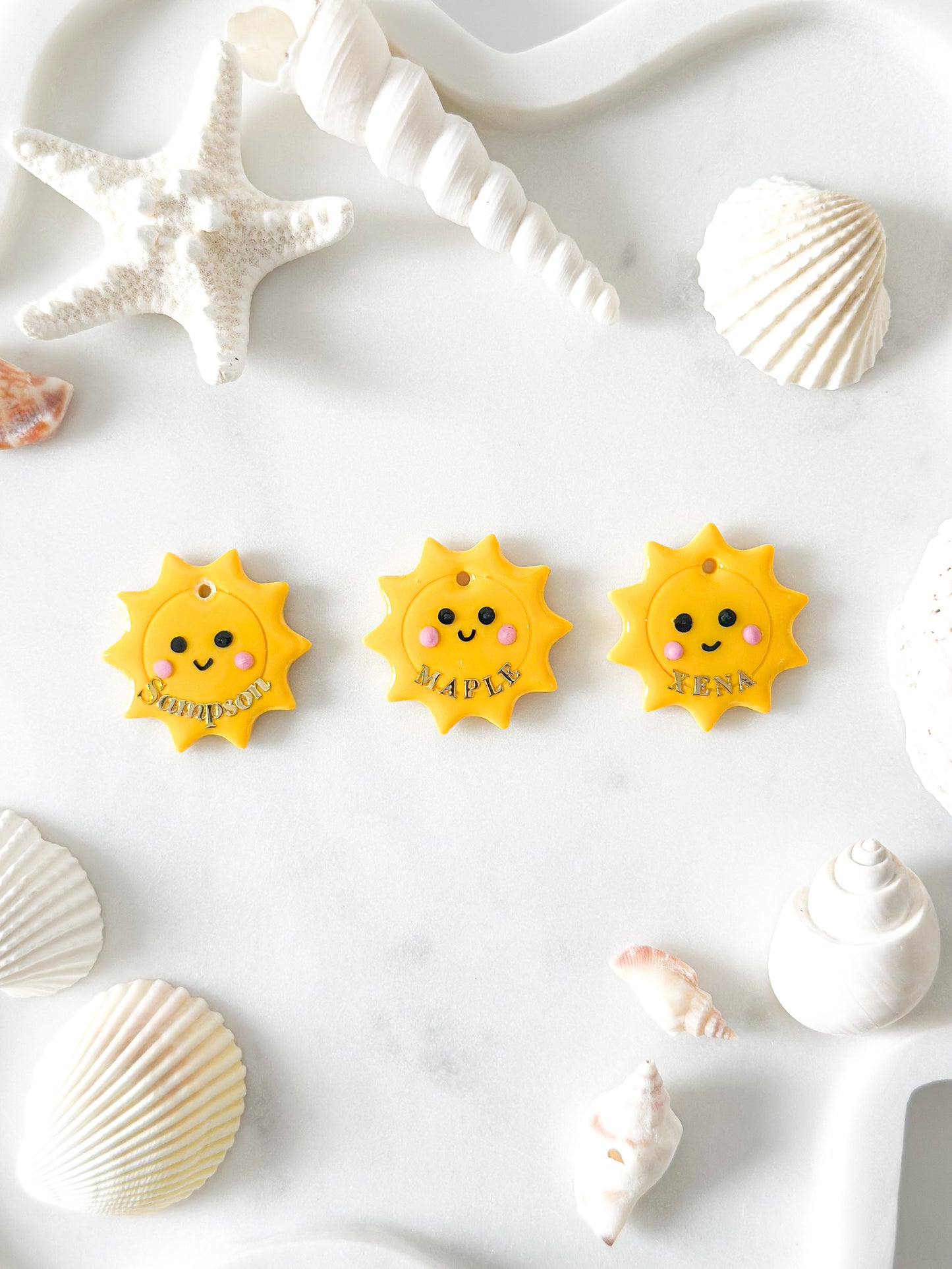 sunshine | pet id tag