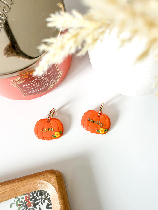 pumpkin| pet id tag