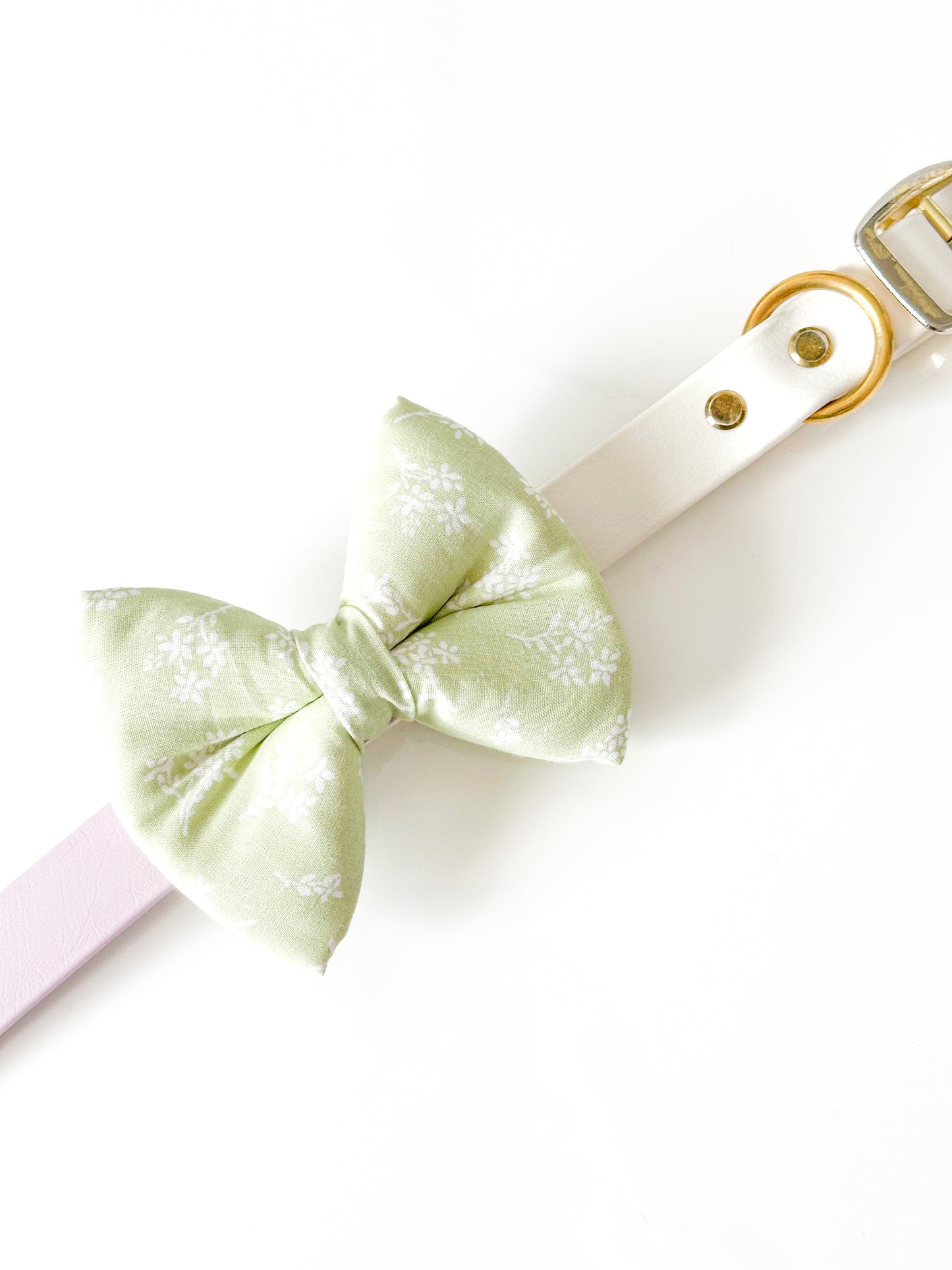 sage meadow classic dog bow