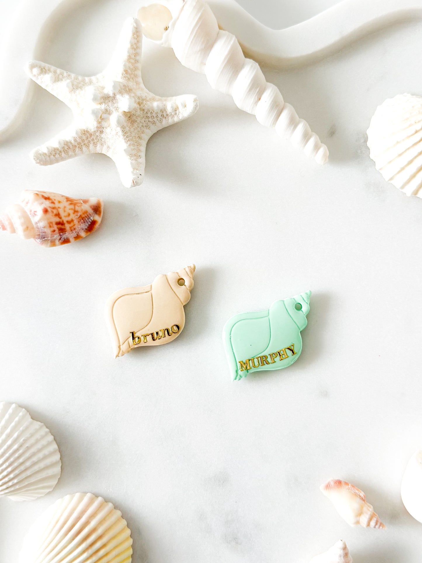 seashell V2 | pet id tag