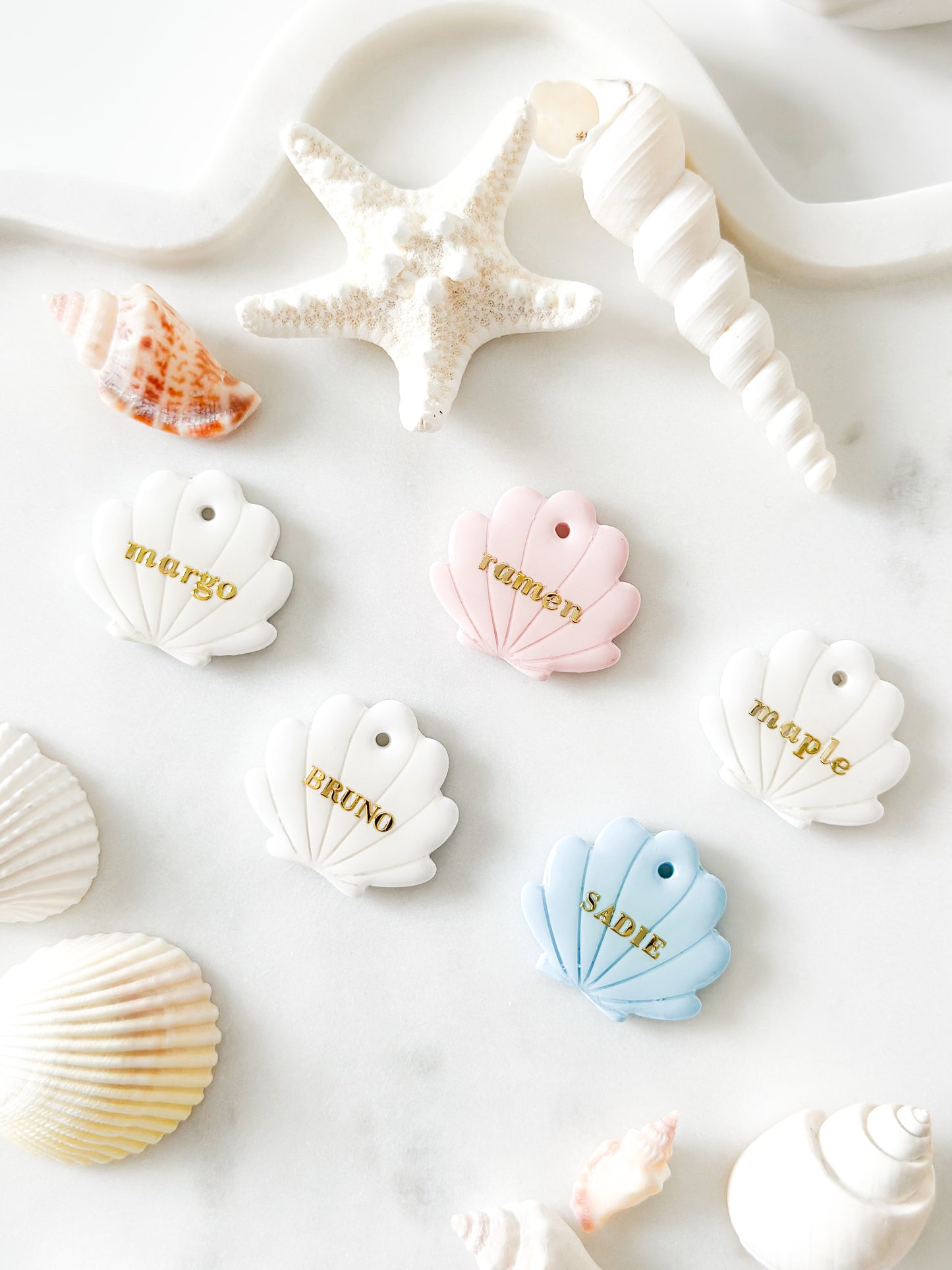 seashell| pet id tag