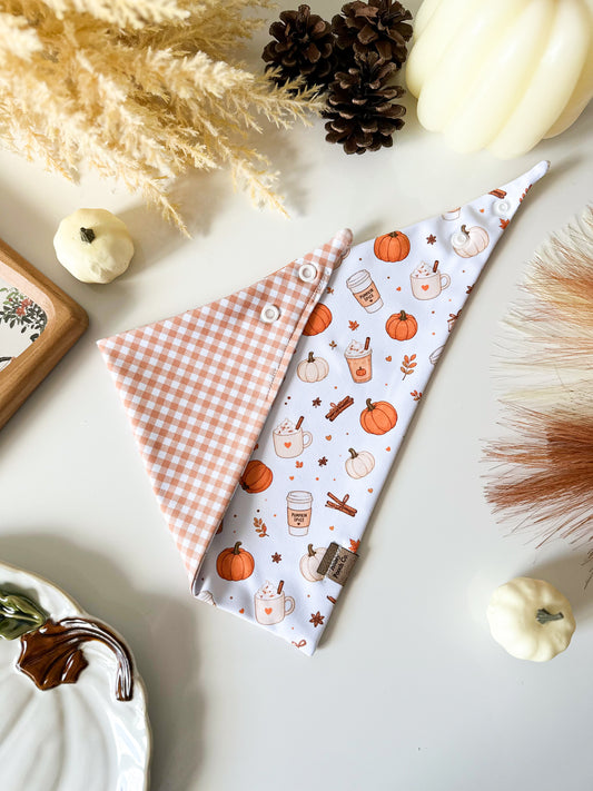 pumpkin season | pet bandana
