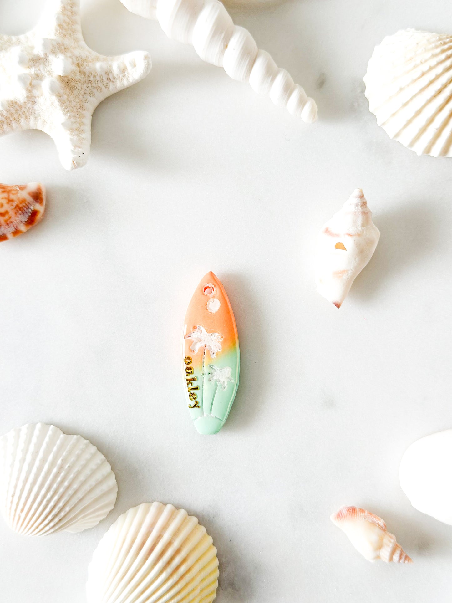surfboard | pet id tag
