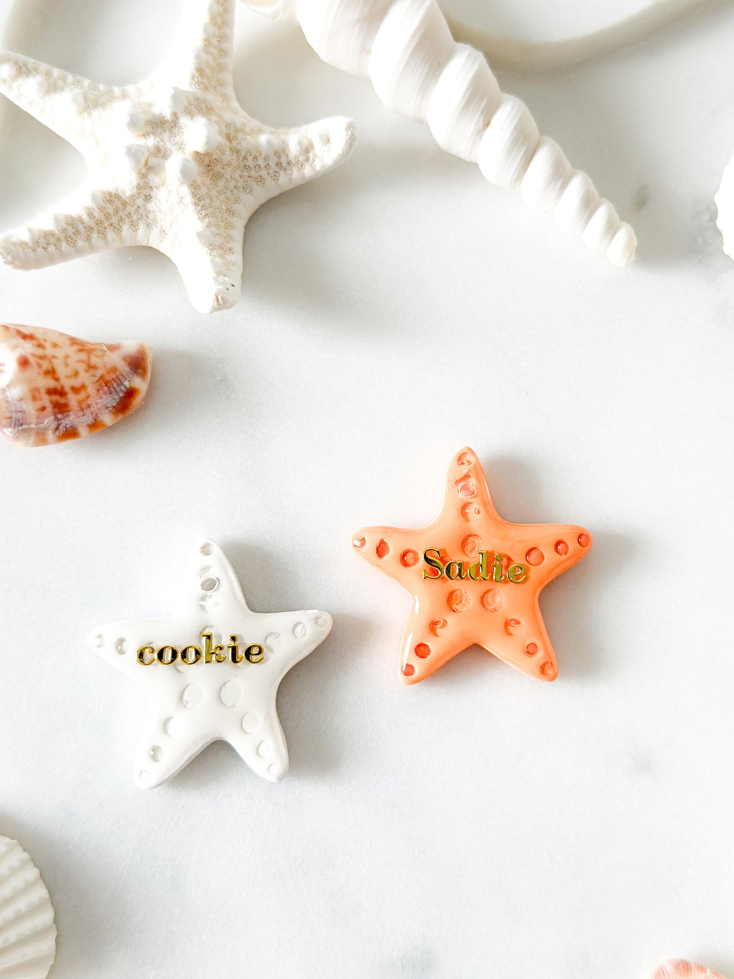 starfish | pet id tag