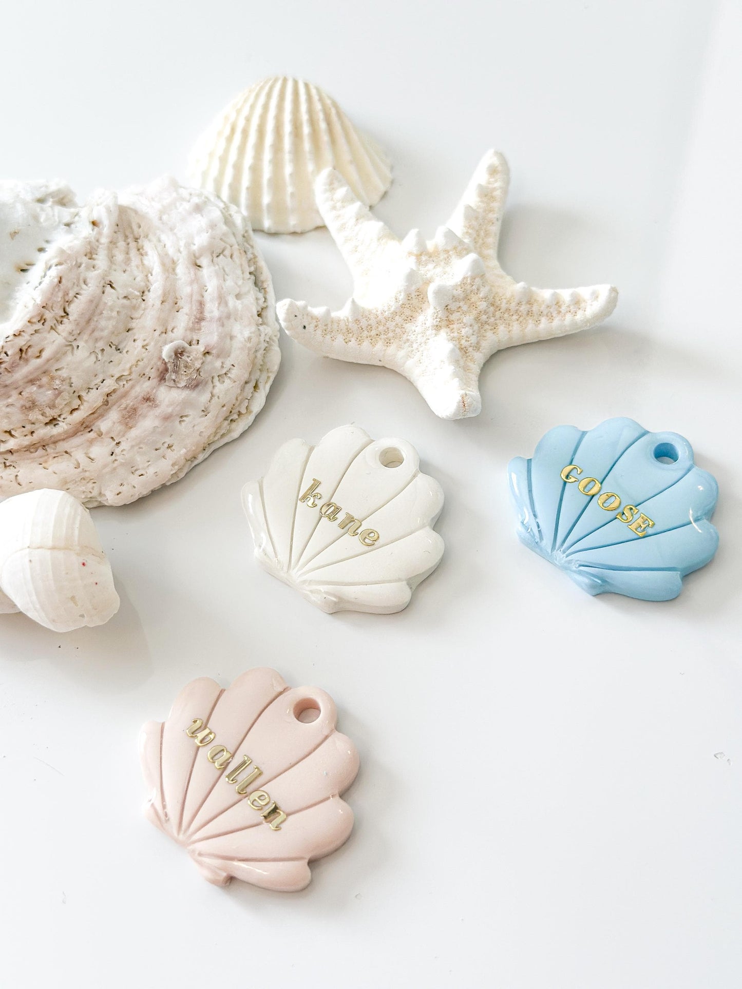 seashell| pet id tag