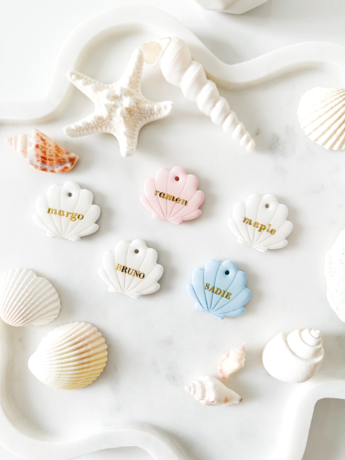 seashell| pet id tag
