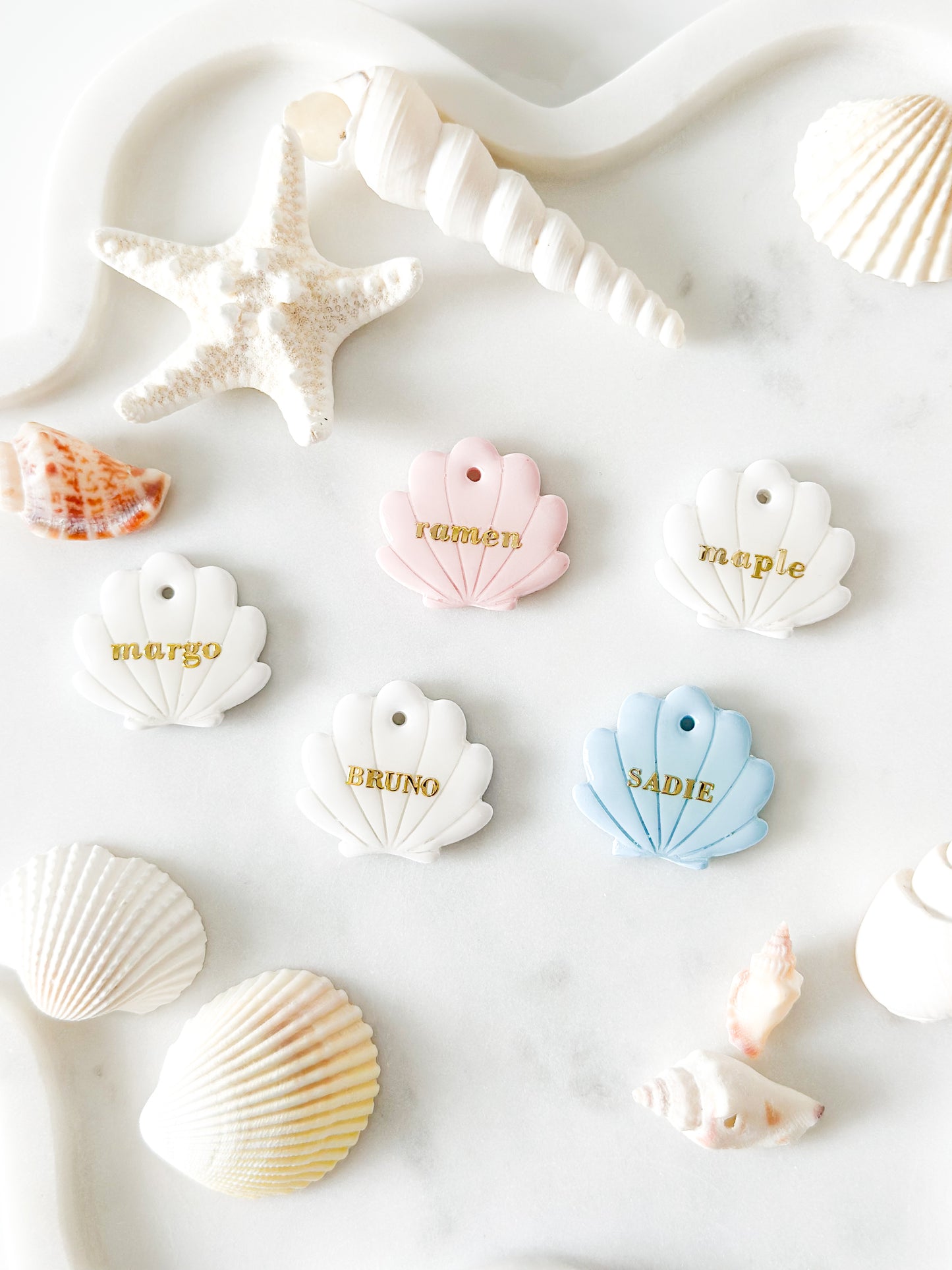 seashell| pet id tag