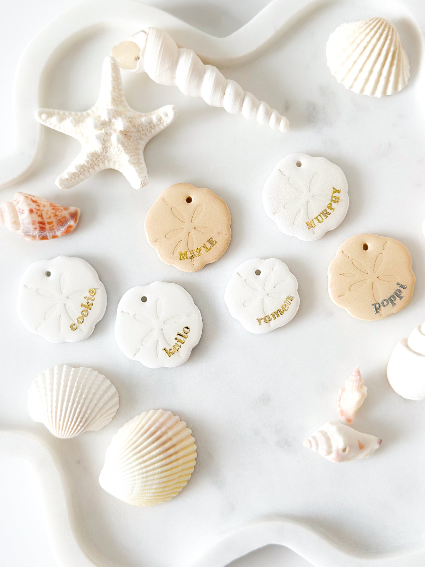 sand dollar | pet id tag
