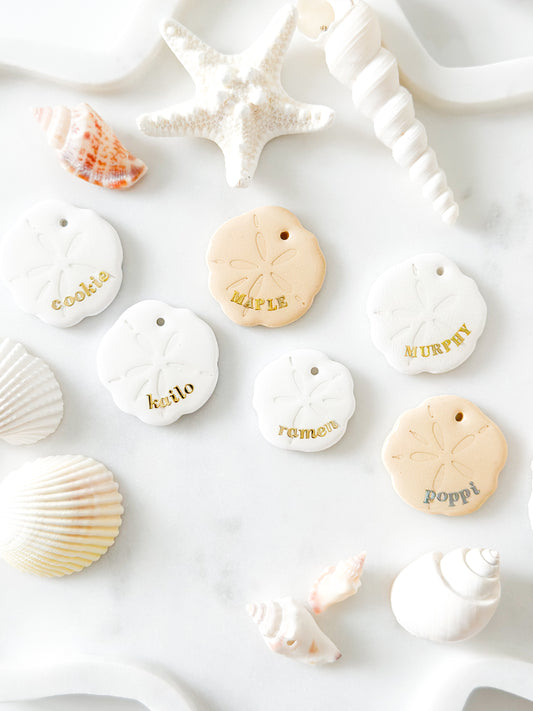 sand dollar | pet id tag