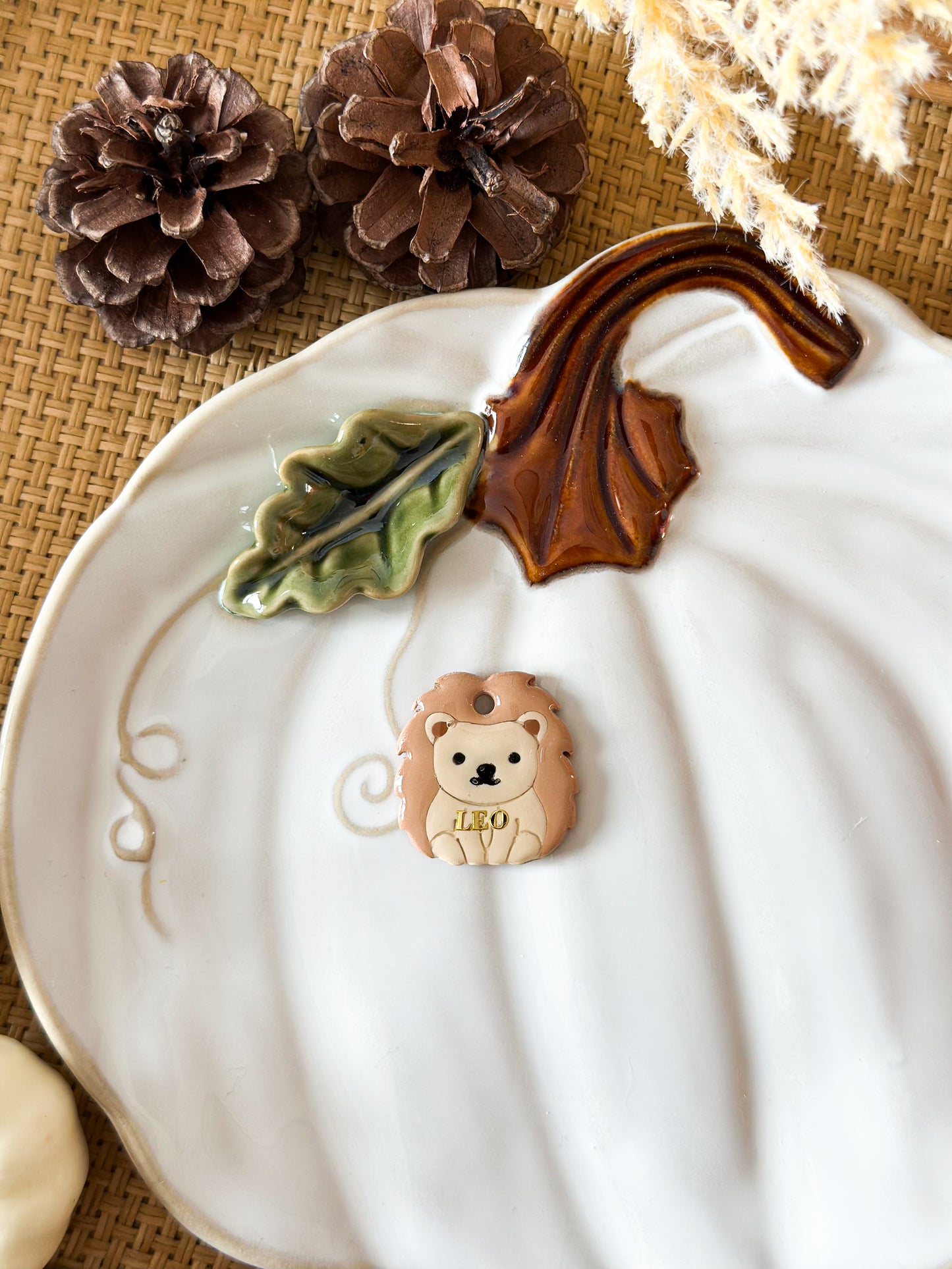 hedgehog | pet id tag