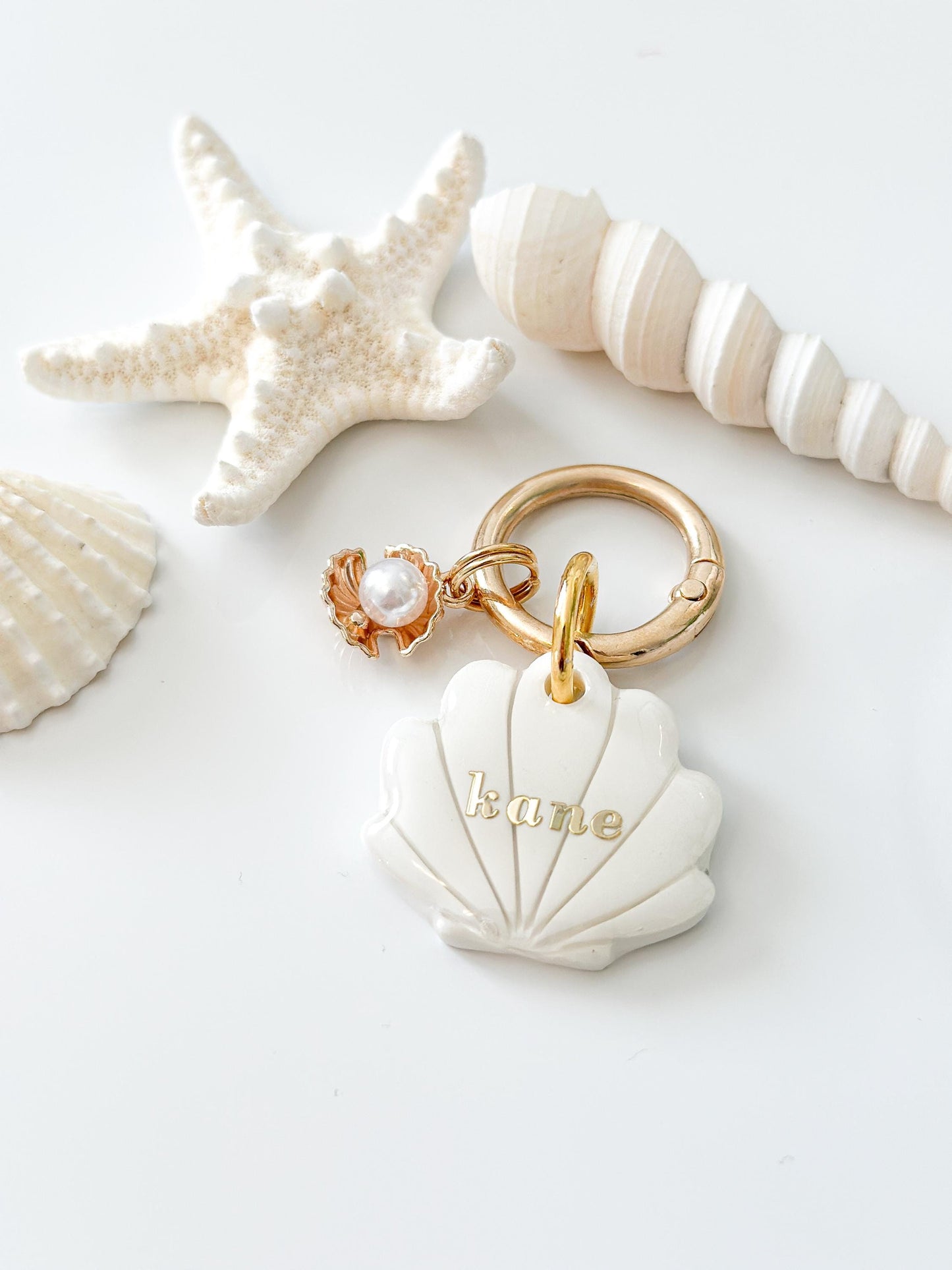 seashell| pet id tag