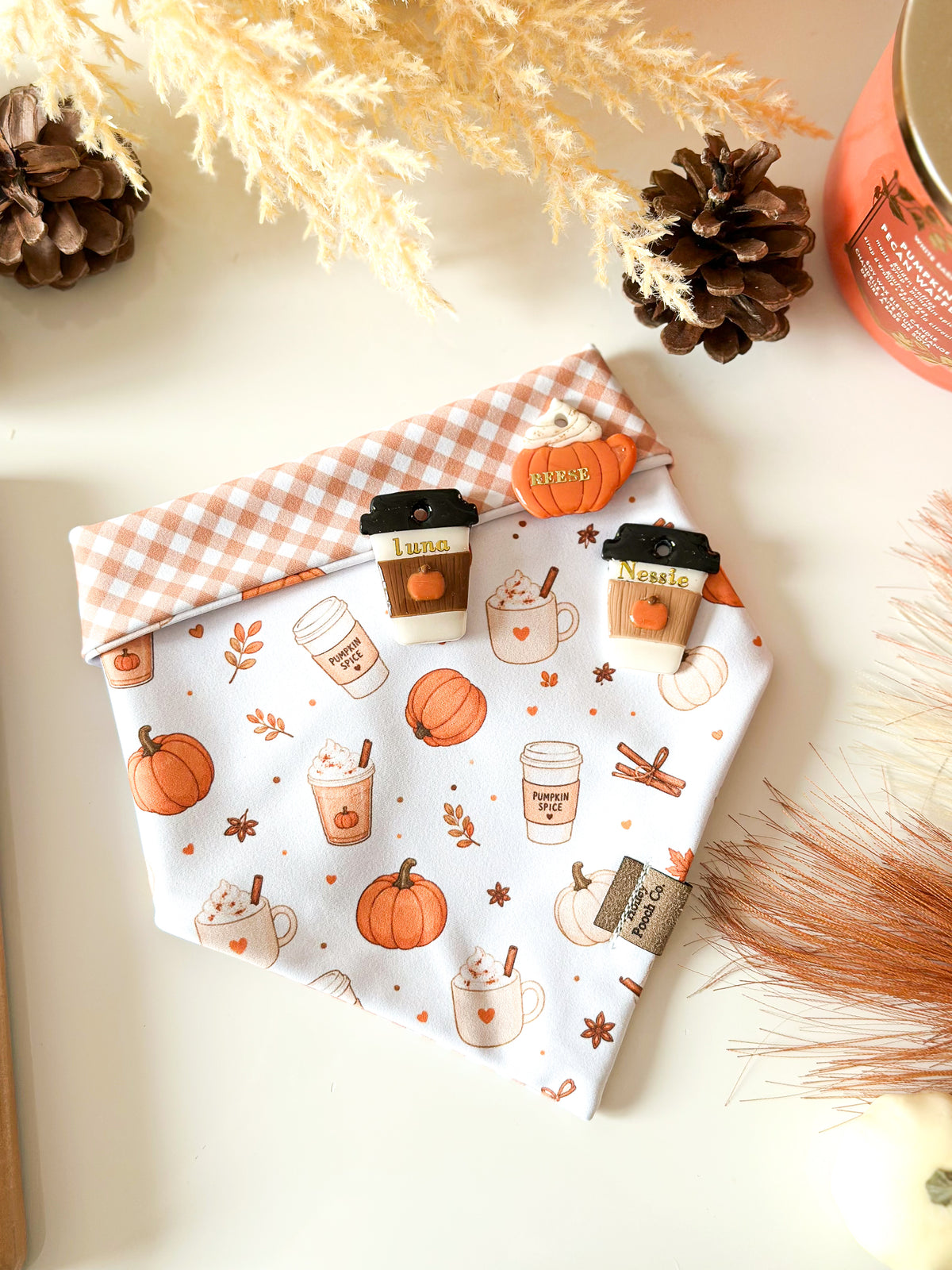 pumpkin season | pet bandana
