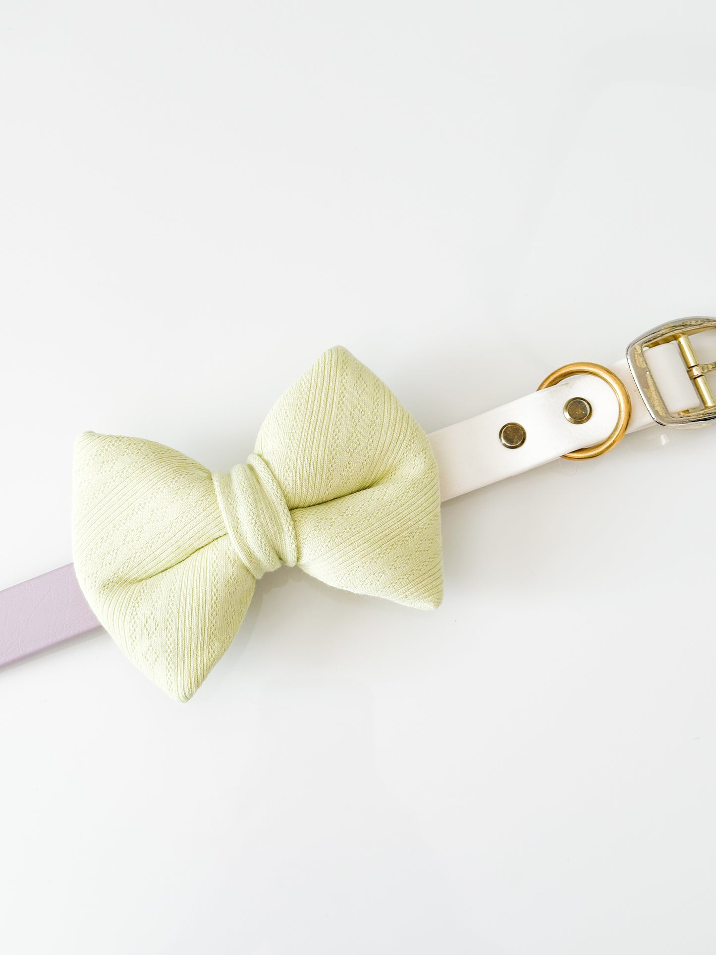 matcha cloud classic dog bow