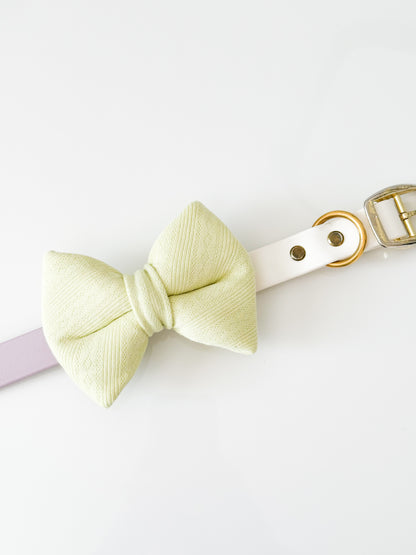 matcha cloud classic dog bow