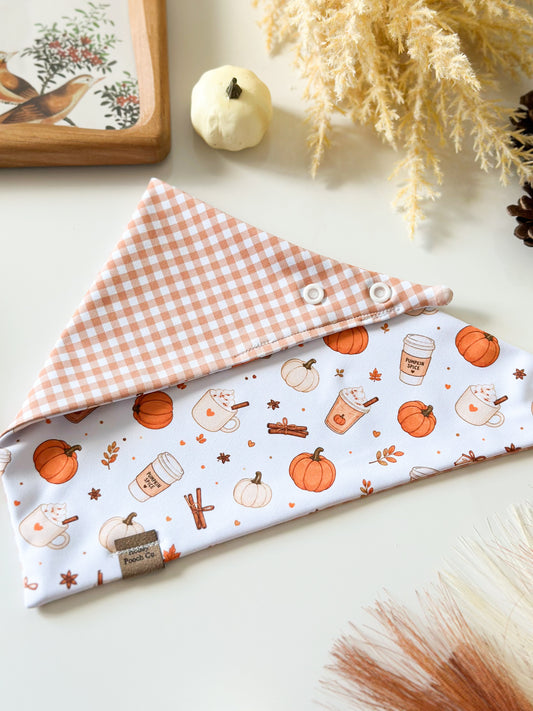 pumpkin season | pet bandana