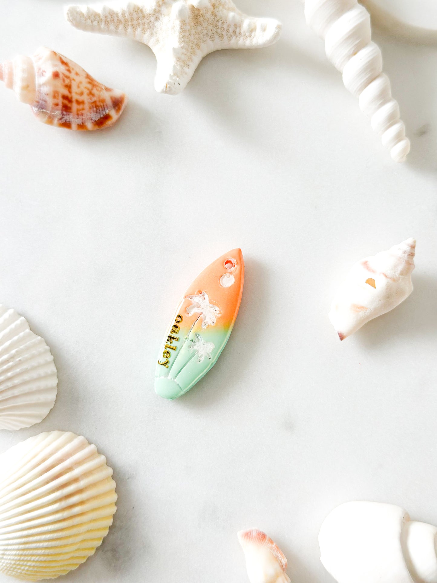surfboard | pet id tag