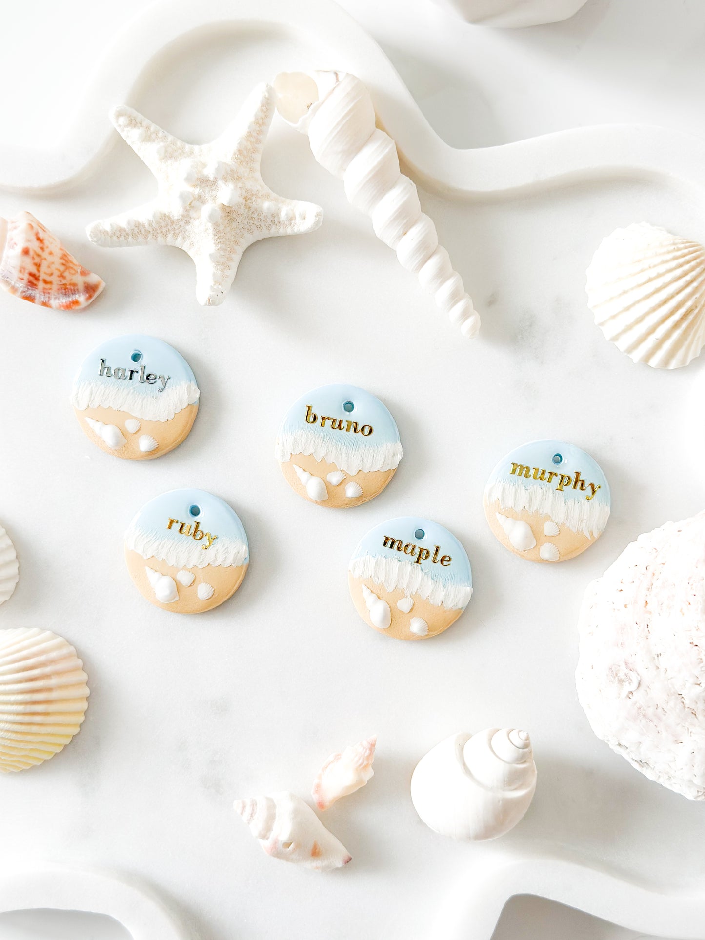 coastal shoreline | pet id tag