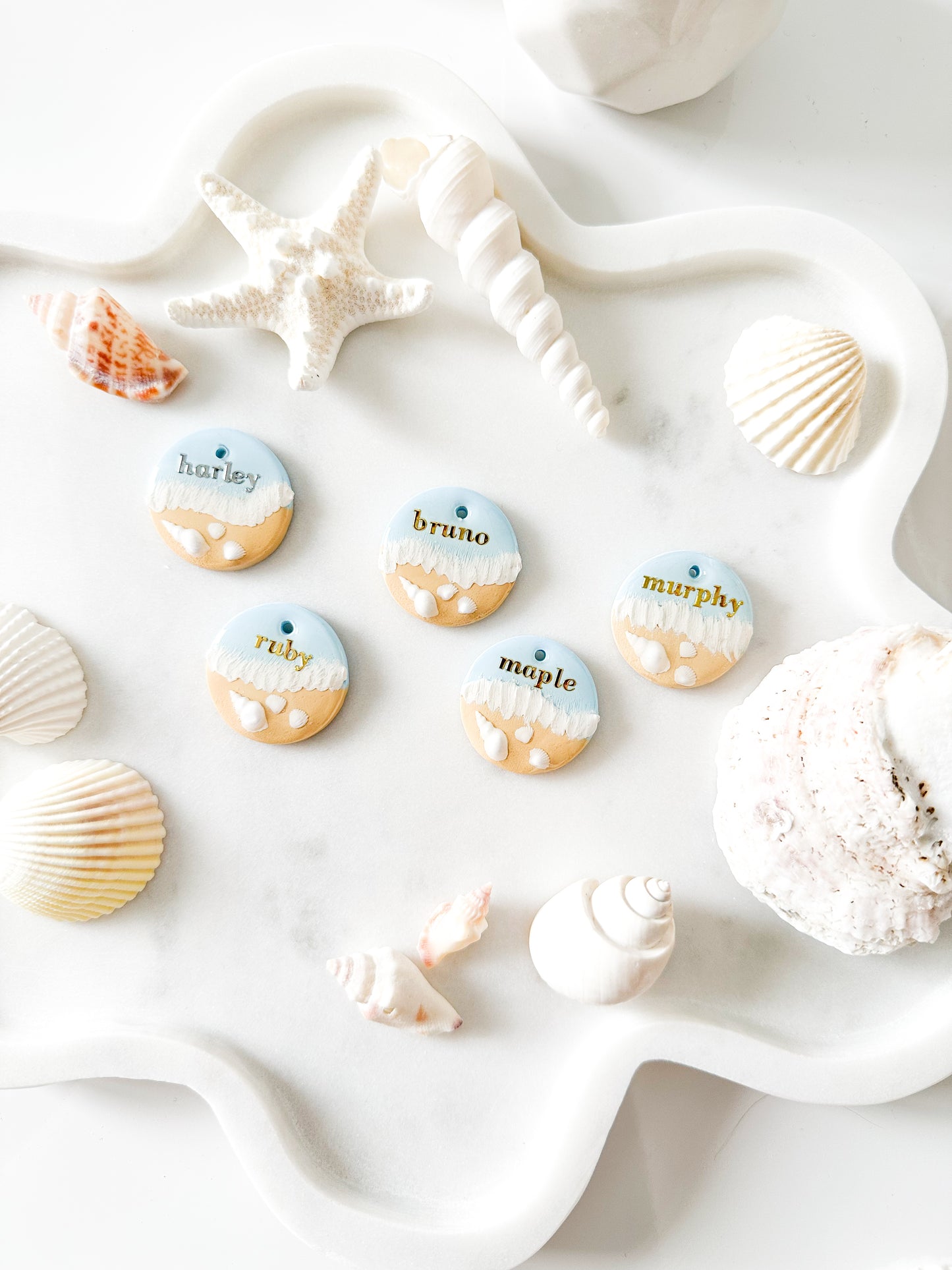 coastal shoreline | pet id tag